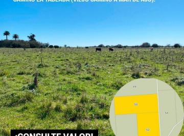 Campo · 420m² · Campo de 42ha General Madariaga