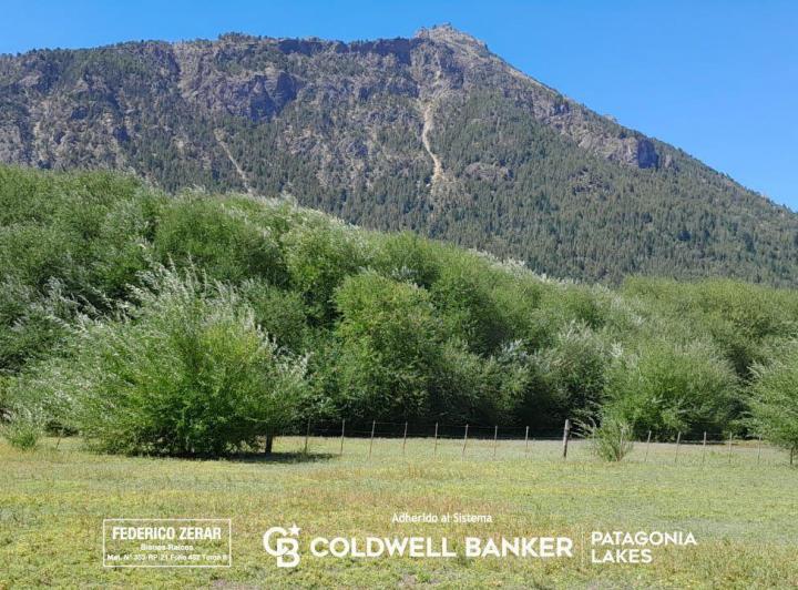 Campo · 35000m²