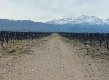 Campo · Venta Finca San Carlos