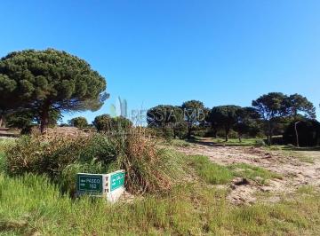 Terreno · 920m² · Loteo "Tierra de Mar" - Colonia Marina - Lotes Desde 920 m² | Escriturables | a 350 m del Mar