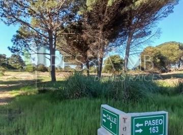 Terreno , Villa Gesell · Loteo "Tierra de Mar" - Colonia Marina - Lotes Desde 920 m² | Escriturables | a 350 m del Mar