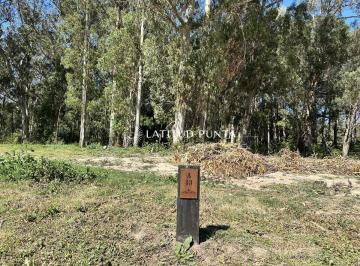Foto1 · Lote en Venta. La Jacinta