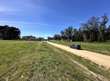 Foto1 · Lote en Venta en La Jacinta