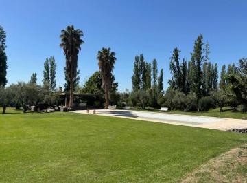 Casa de 12 ambientes, Vistalba · Casa en Alquiler en Vistalba, Lujan de Cuyo