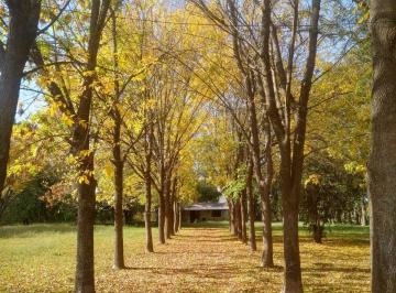 Terreno de 3 ambientes, San Vicente · Lote 6515 m² a m de Av Rivadavia. San Vicente, Venta