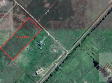 Campo · 12200ha · Chacra de 1.25 Has en Chacras de Penna