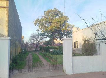 Terreno · 420m² · Terreno en Venta - Daireaux