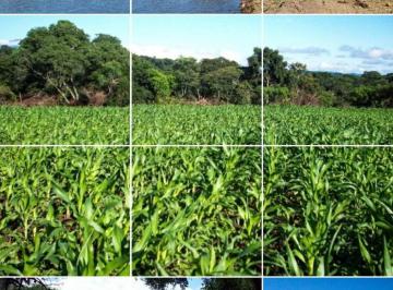 Campo · 6000m² · Venta Campo - Metan Viejo 6000 Ha