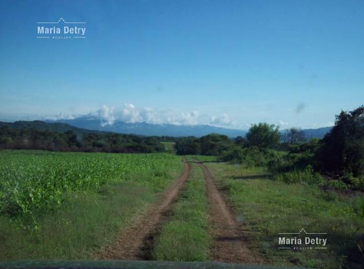 Campo · 6000ha