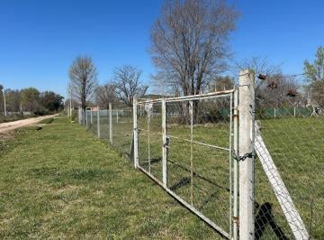 Terreno · 1113m² · Venta - Lote - Sobre Esquina - Los Pinos - Exaltación de La Cruz