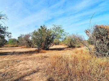Terreno · 32000m² · Media Naranja Fracción de 3 Has con Olivares