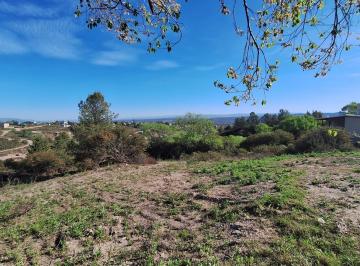 Terreno · 1002m² · Lote Sobre Calle Munich. Sup 1.002 m