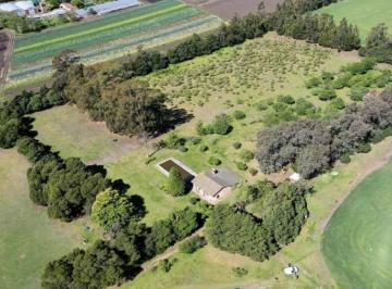 Terreno · 75m² · Venta Campo 75 Has Ruta 88 y 515 Batán