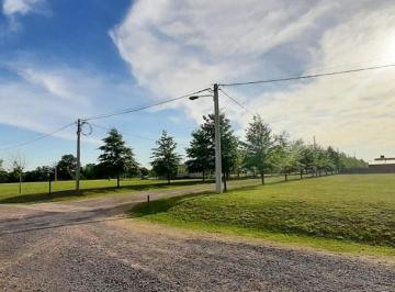 Terreno · 516m² · Venta Lote Terreno en Las Casuarinas Ibarlucea