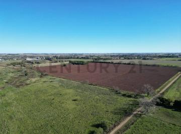 Campo · 37m² · Ruta 8 y Ruta 51 Campo 37 Ha Arrecifes, Buenos Aires