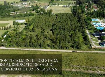 Campo · 4m² · Hectáreas en Venta en La Plata
