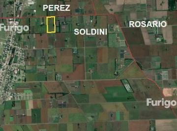 FUG-SPF-369_2 · Campo en Soldini