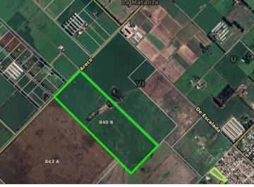 Campo de 4 ambientes, La Matanza · Campo Agrícola 38 Hectáreas - Virrey del Pino - La Matanza