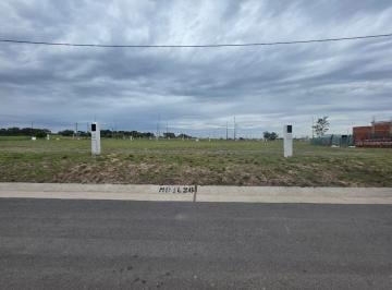 Terreno · 250m² · Venta Lote 250 m² Residencial Docta Central Fondo Norte