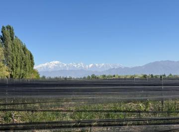 Campo · 68000m² · Finca de 6,8 Has de Malbec en Perdriel