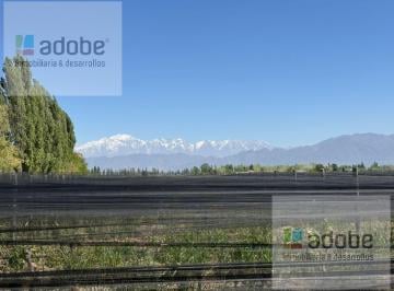 Campo · 68000ha · Finca de 6,8 Has de Malbec en Perdriel