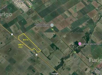 FUG-SPF-243_2 · Campo en Venta Sobre Autopista Buenos Aires, Fighiera. 80 Ha