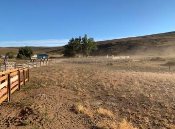 Campo , Aldea Apeleg · Campo de 2500 Has en Aldea Apeleg