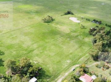 Campo · 100ha · Loteo Aprobado de 24 Lotes con Propiedad a La Venta. Ideal Inversor. Sobre Calle S/n Km 71.500