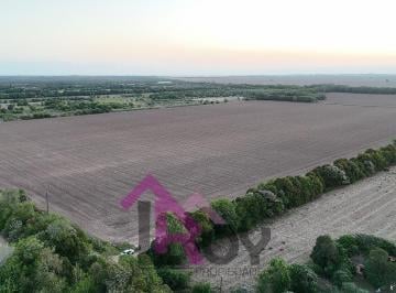 Campo · 383600m² · Campo en Colonia Tirolesa