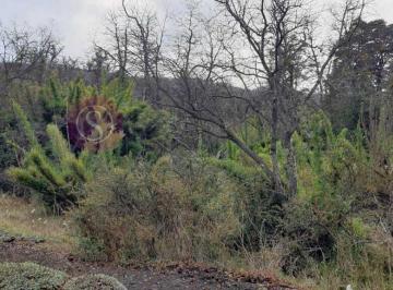 Terreno · 600m² · Terreno Lote en Venta en Kaleuche, San Martin de Los Andes, Patagonia