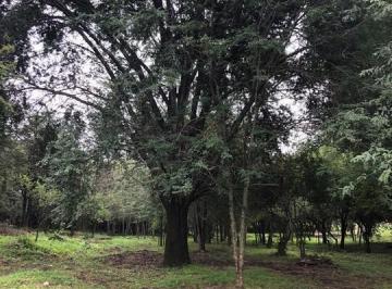 Terreno · 1m² · Venta Terreno Corral de Barranca, Unquillo, Pura Naturalez