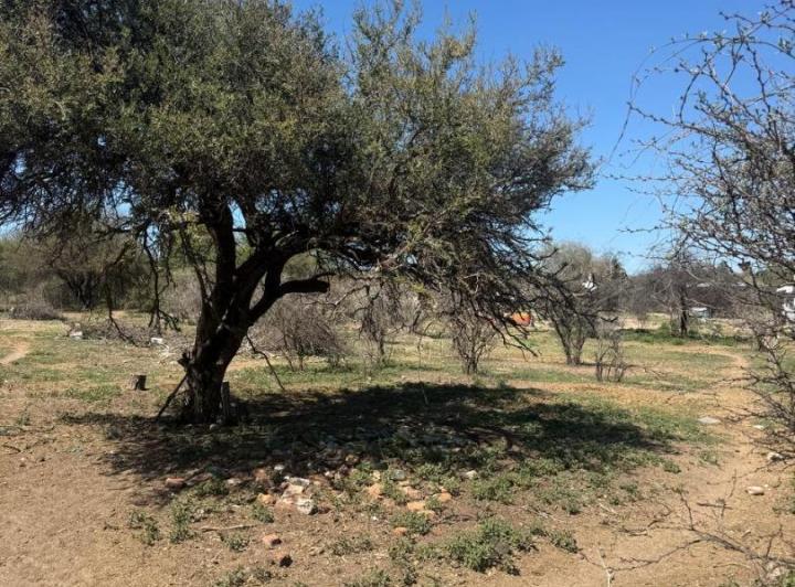 Terreno · 1600m²
