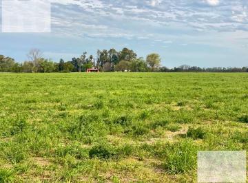 Terreno · 9703m² · Terrenos en Cayuquen - Pilar
