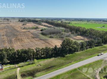 Campo · 720000m² · 72 Ha Campo Agrícola Sobre Ruta en Escalada