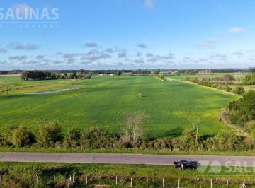 Terreno · 35000m² · 3,5 Ha Fracción Industrial Sobre Ruta en Baradero