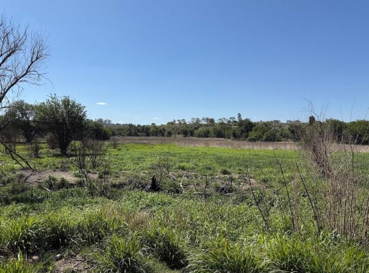 Terreno · 1m²