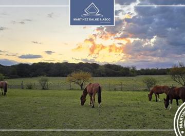 Campo · 60000m² · 1 Ambiente · Agua de Las Piedras - Campo de 6 Has con Costa de Rio