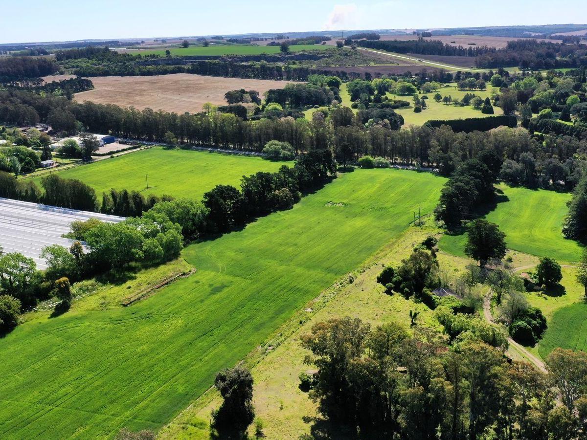 Campo en Venta – 75 Hectáreas sobre Ruta 88 (km 14,5)