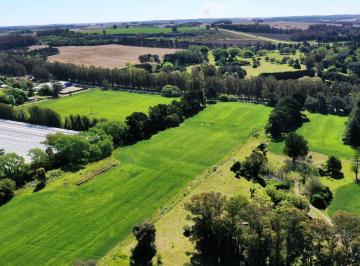 Terreno · 750000m² · Terreno en Mar del Plata