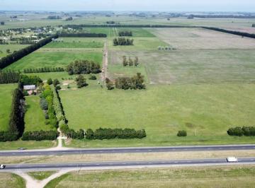 Campo · 1550000m² · 1 Ambiente · Venta Campo 155 Ha Plomer Sobre Ruta 6