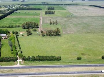 Campo · 1550000m² · 1 Ambiente · Venta Campo 155 Ha Plomer Sobre Ruta 6