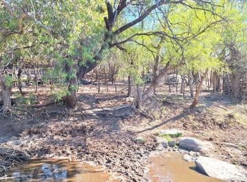 Campo · 2050000m² · Campo en Las Sierra Camino S. 315 Al 100