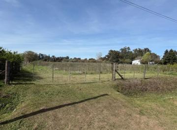 Campo · 17692m² · Campo / Hectarea en Venta en General Belgrano
