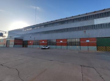 Local comercial · 1000m² · 1 Ambiente · 10 Cocheras · Galpón Nave Industrial en Alquiler - Ucoma