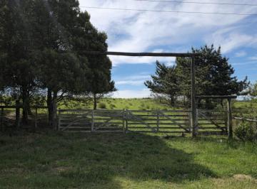 BPV-BPV-10728_2 · Venta de 3 Chacras en José Ignacio