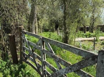MBO-MBO-386_2 · Campo en Venta, Ranchos
