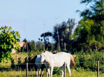 Terreno , San Miguel del Monte · Venta Lote Parcela Florentina Club de Chacras San Miguel del Monte Buenos Aires