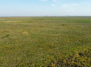 Campo de 4 ambientes, General Belgrano · Campo 900 Ha General Belgrano, Provincia de Buenos Aires.
