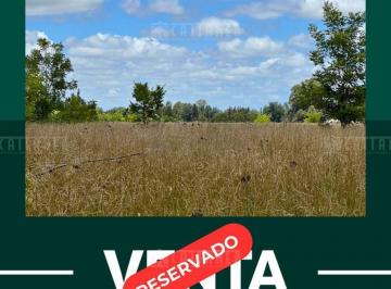 Campo · 120000m² · Uribelarea - 12 Has - Campo - Chacra