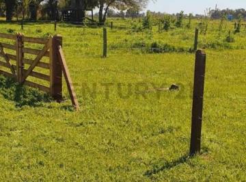 Terreno · 395m² · Lote en Venta Barrio El Hornero con Escritura Corredor Canning San Vicente